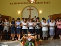 2014-09-07Biharugra (2)