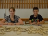 2014-06-30tol (10)