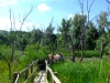 dscf1568-jpg