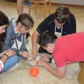2015-06-28val) (17)