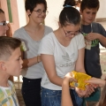 2017-06valogatas (51)