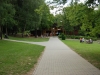 Resize of DSC_7545