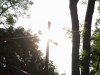 Resize of DSC_7751