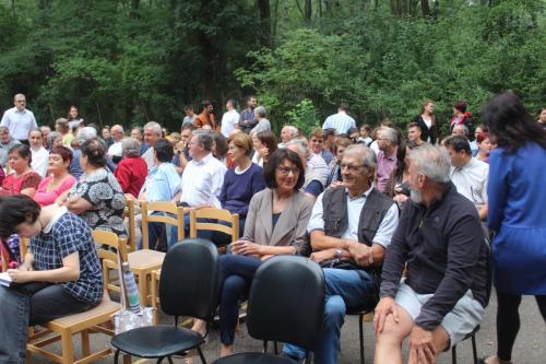 C33CAA15-B1C9-4AE6-A979-062F8D901323